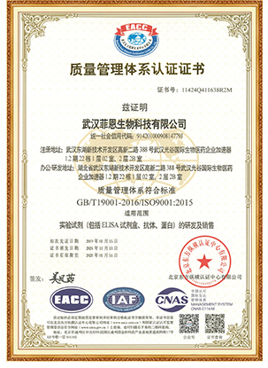 ISO9001:2015