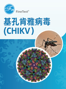 基孔肯雅病毒（CHIKV）单页