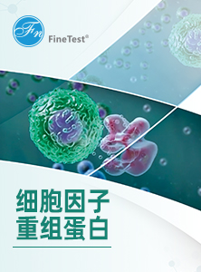 蛋白细胞因子二折页