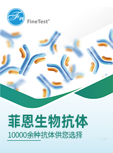 抗体二折页