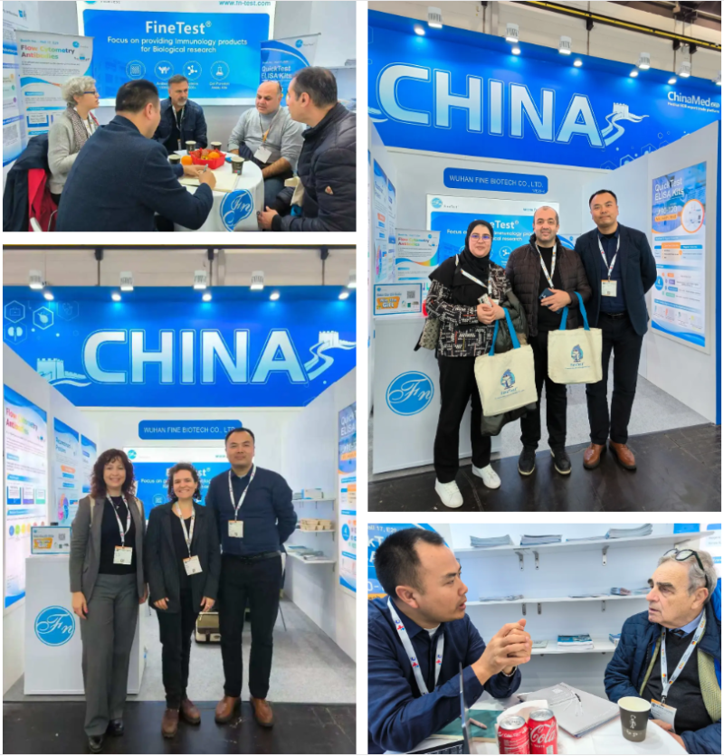 菲恩生物2025德国MEDICA展会