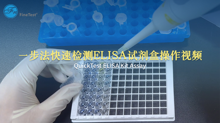 一步法快速检测ELISA试剂盒操作视频
