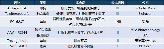 ActRII肌肉疾病相关药物