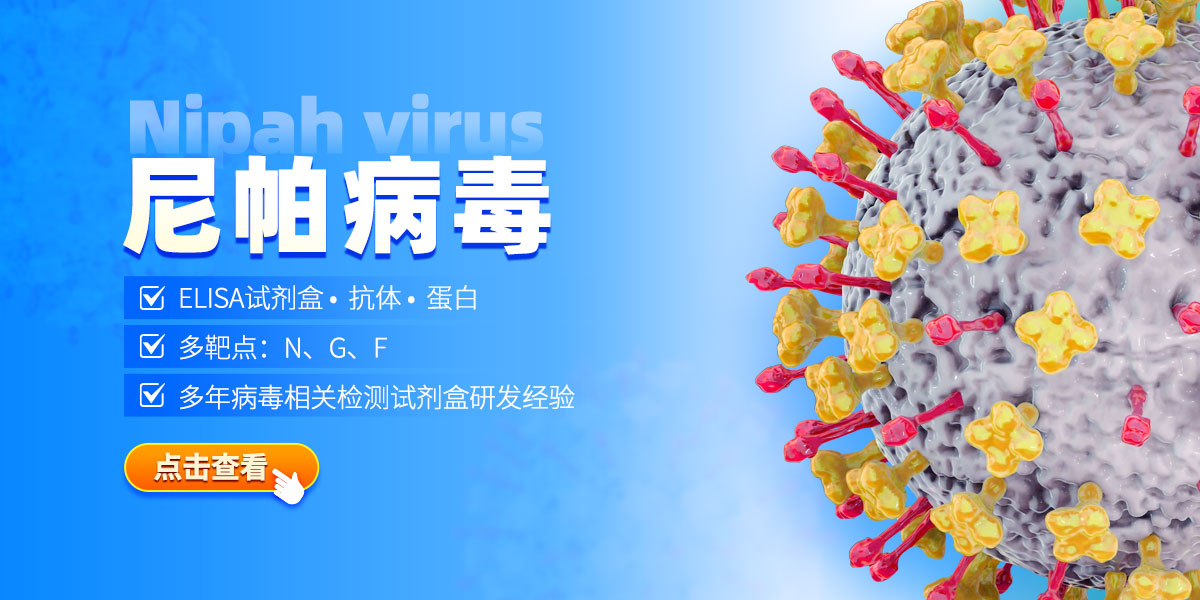 尼帕病毒
