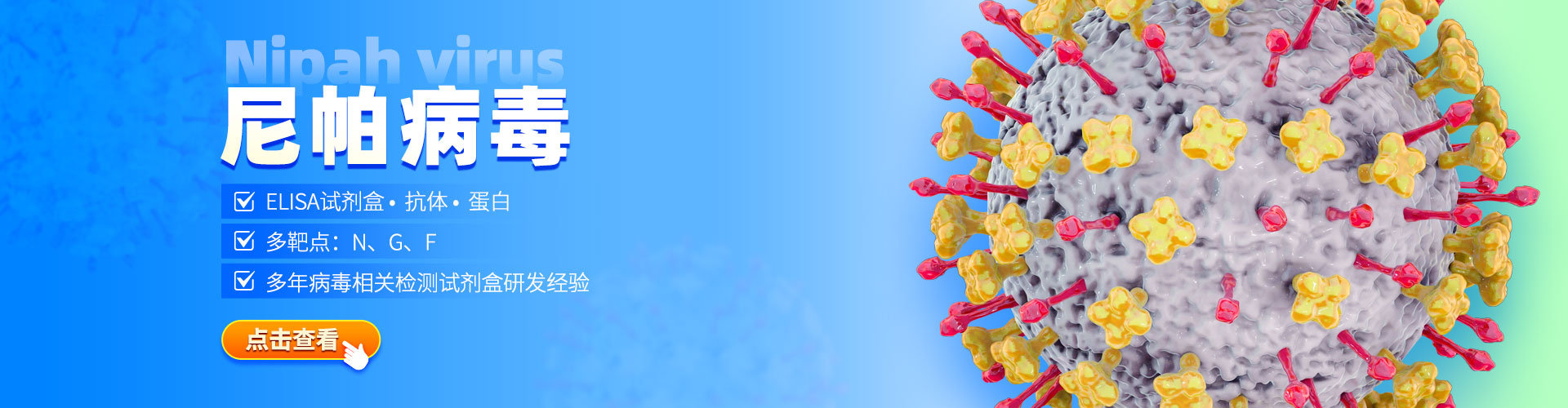 尼帕病毒