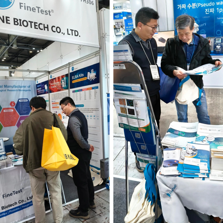 菲恩生物2026 KOREA LAB