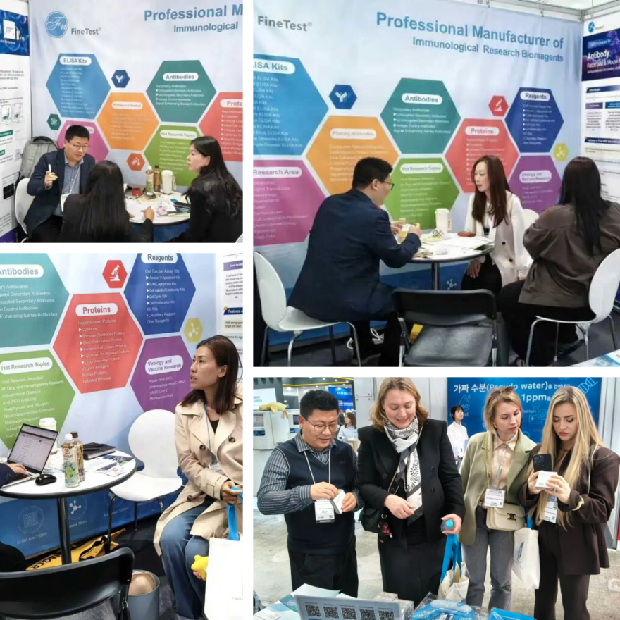 菲恩生物2026 KOREA LAB