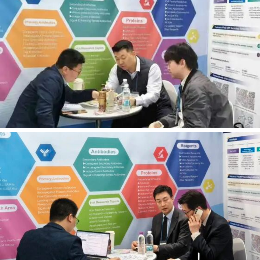 菲恩生物2026 KOREA LAB