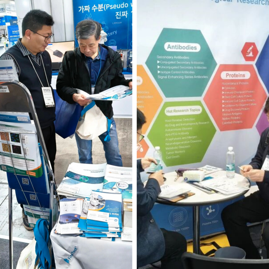 菲恩生物2026 KOREA LAB