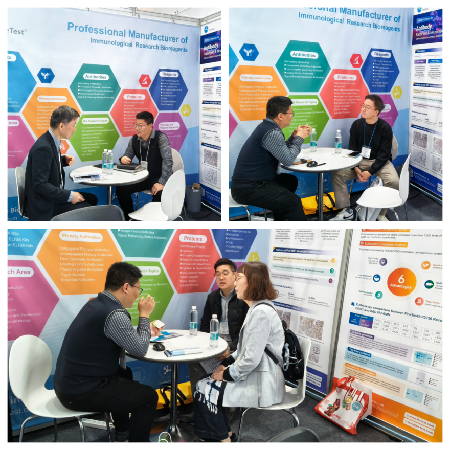 菲恩生物2026 KOREA LAB