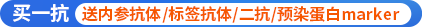 买一抗送二抗/内参抗体