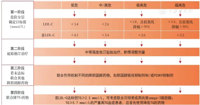 低密度脂蛋白膽固醇（LDL-C）