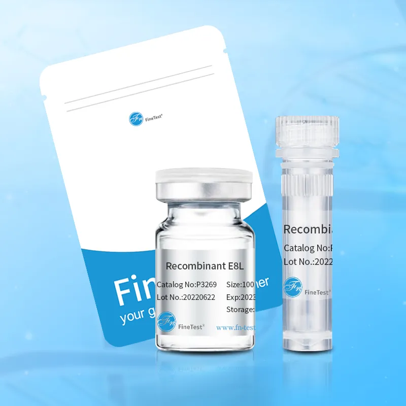 Recombinant Human GPR161