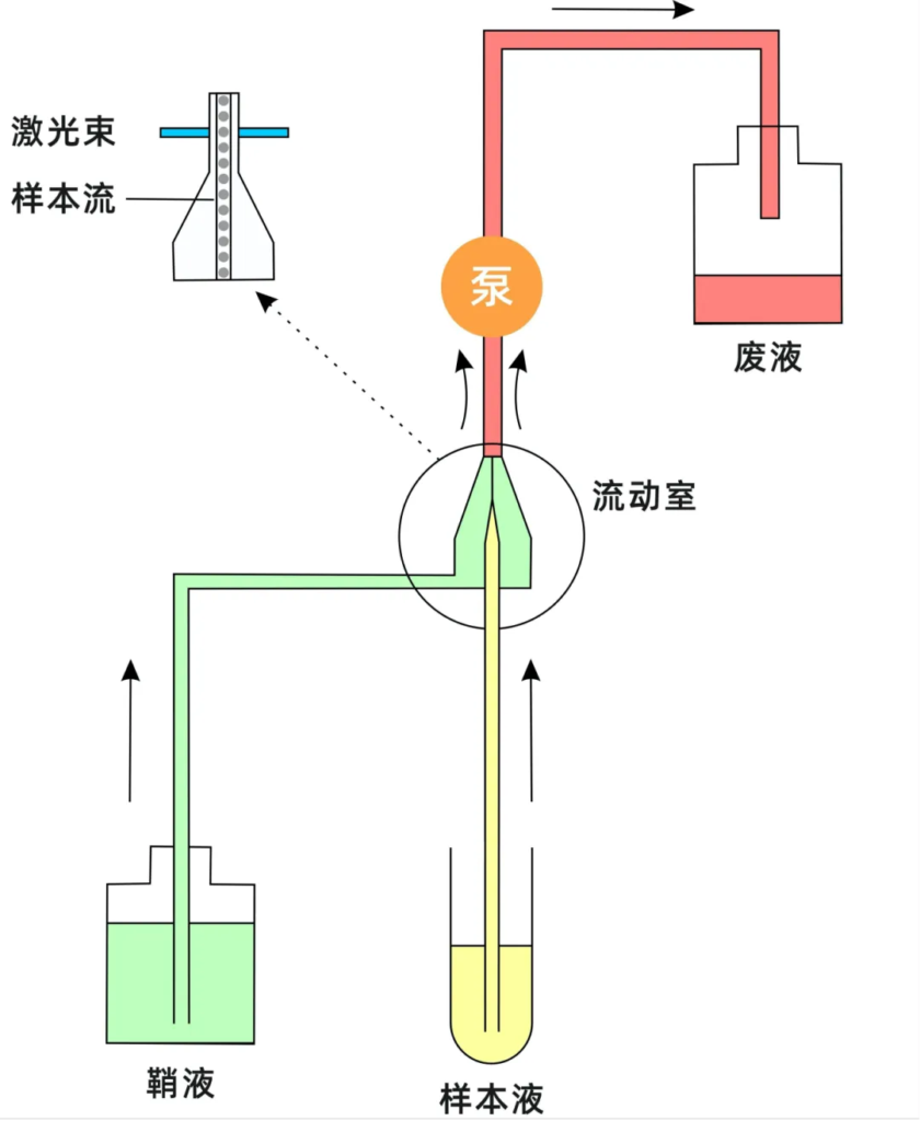 负压上样