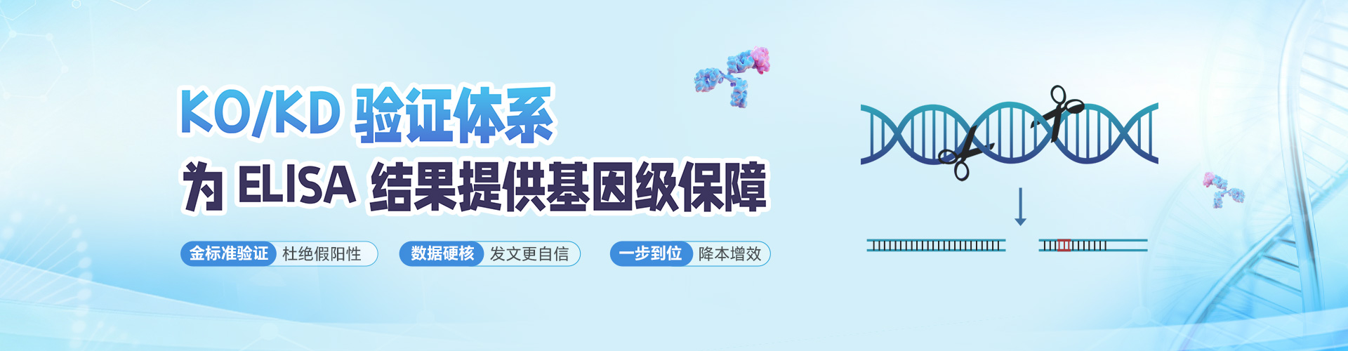 KO/KD验证