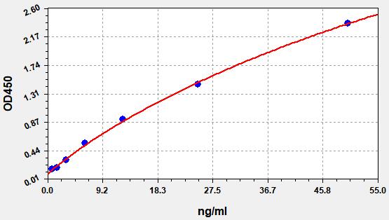 EH5240 Standard Curve Image